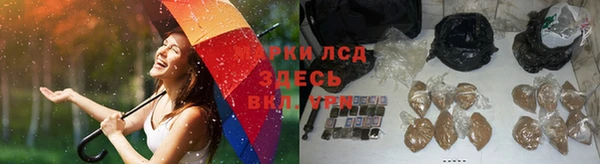 стаф Алексеевка