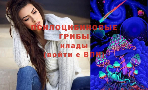 стаф Алексеевка